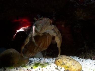 ffda4-9.17.08 014.JPG