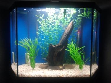 ffbe4-2011-10-14 21.09.56.jpg