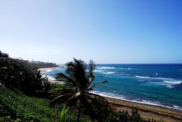 099ce-Cruise 170 copy.jpg