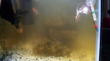 1dc43-Picture 027.jpg