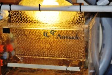 d72e9-turf screen 10.27.JPG