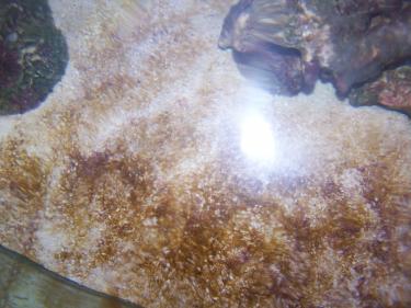 32374-uploads 059.JPG