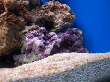 2ec91-uploads 058.JPG