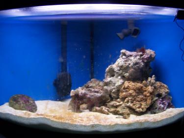 60aea-uploads 057.JPG