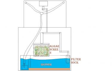 713e8-back of aquarium.jpg