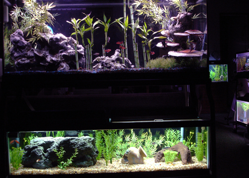 e8678-DSC07433 Small.jpg