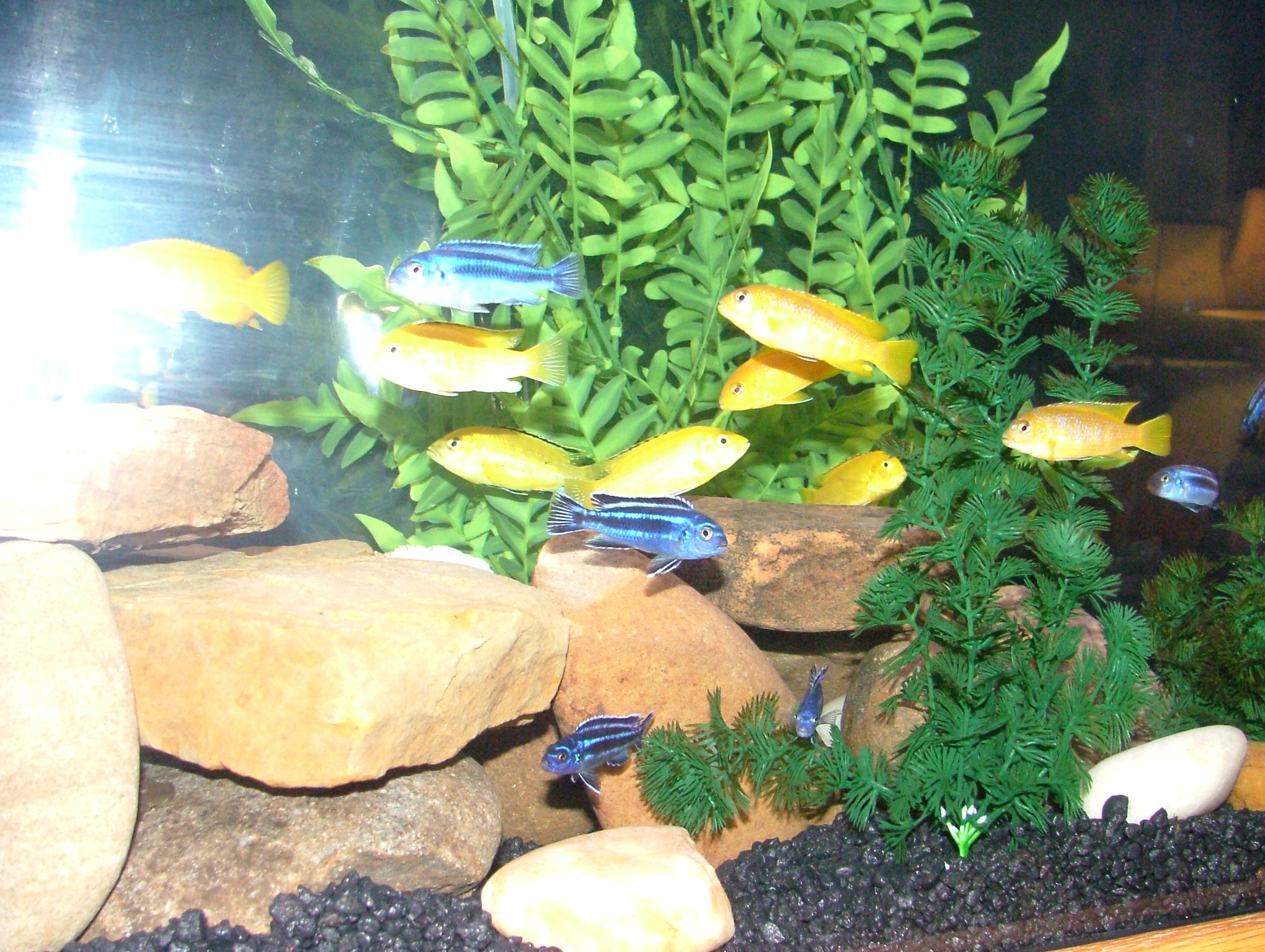 e48a1-Picture 215.jpg