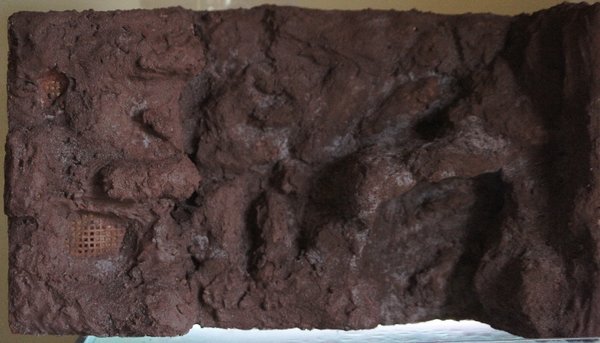 Background 15th Sep 2012.jpg