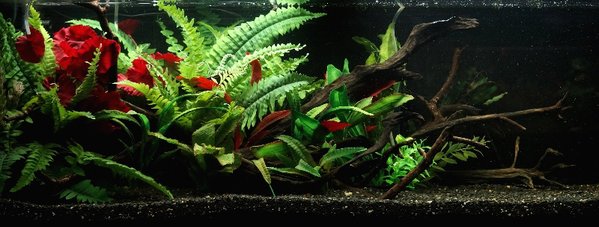 4ft 19th Dec 2013.jpg