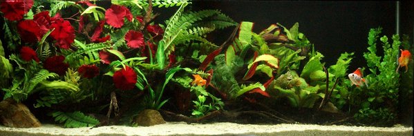 4ft 28th Feb 2014 1a.jpg