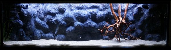 5ft 12th Apr 2014 1a.jpg