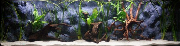 5ft 20th April 2014 1a.jpg