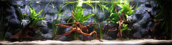 5ft 3rd May 2014 1d.jpg