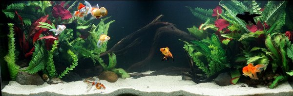 4ft 25th April 2014 1a.jpg