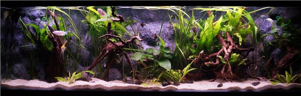 5ft 11th July 2014 1b.jpg