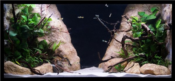 2ft 29th May 2014 1a.jpg