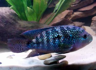 54347-Video 20 0 03 23-50.jpg