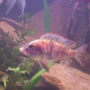 2965a-Video 97 0 00 14-43.jpg