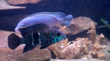 7c328-Video 120 0 00 03-32.jpg