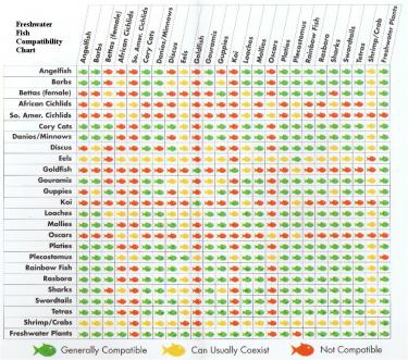 08164-freshwater-fish-compatibility-chart-for-you.jpg