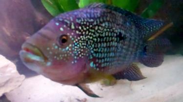 159a0-Video 97 0 00 45-24.jpg