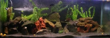 22b7c-Maingano 16th Apr 2011 d.jpg