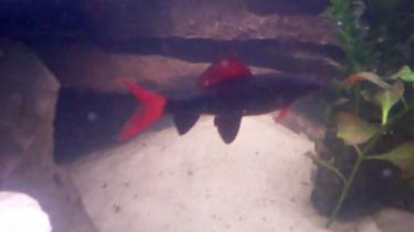 d91aa-Video 99 0 00 18-24.jpg