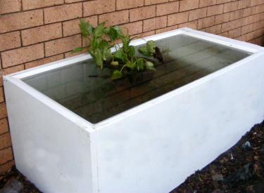 c0a94-Pond 4th Apr 2011.jpg