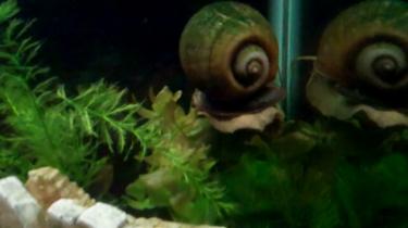 fa7d6-Video 139 0 00 17-54.jpg