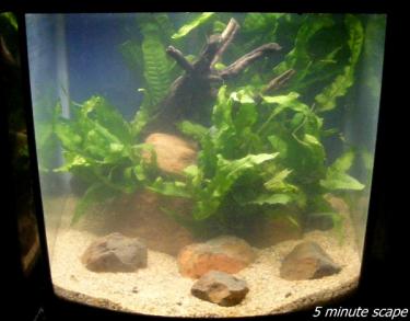 892de-5minscape 25th Mar 2011.jpg