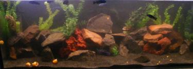 80d3b-4ft 19th March 2011.jpg