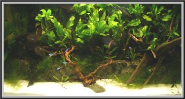 797b4-2.5ft 19th Mar 2011.jpg