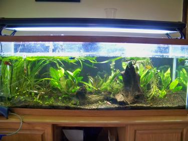 5a7f4-Picture 001.jpg