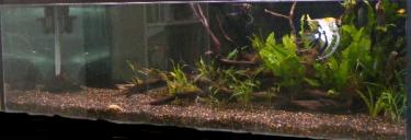 a11ba-5ft 9th Mar 2011.jpg