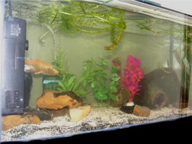 079b9-2.5ft Pepps.jpg