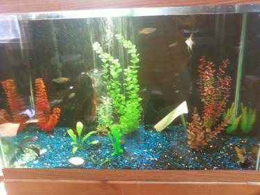 95d66-SSPX0002 smaller.jpg