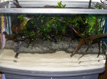 05db0-2.5ft 7th Feb 2011 a.jpg