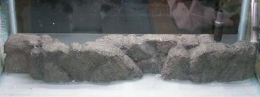 3585f-foam wall 3rd Feb 2011 b.jpg