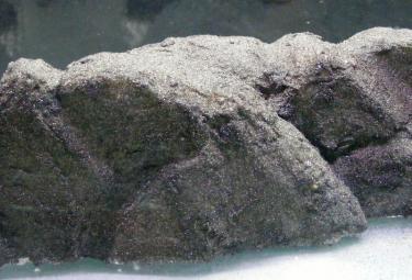 fd432-foam wall 3rd Feb 2011 c.jpg