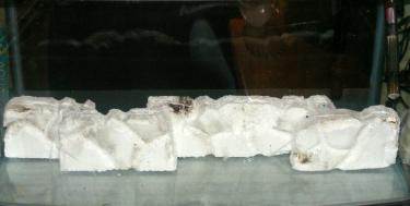 bab1e-foam wall 3rd Feb 2011.jpg