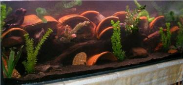 e31cf-4ft 18th Dec 2010 b.jpg