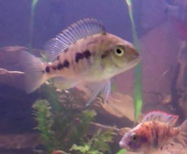 98e72-Video 97 0 00 06-06.jpg