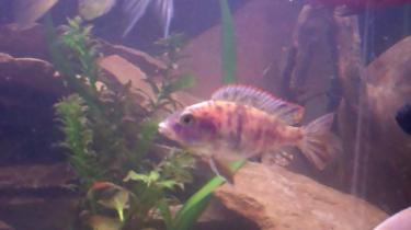 99bf2-Video 97 0 00 14-43.jpg