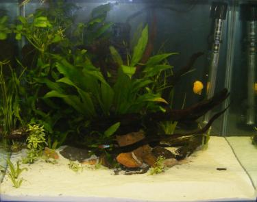 5e4a4-2ft 14th Nov 2010.jpg