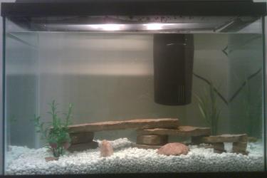 1a73c-fish tank 1.jpg