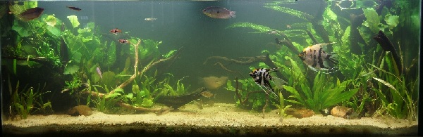 4ft 31st Mar 2012.jpg