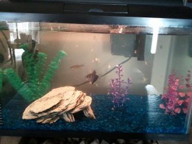 2a626-2012-03-05 17.11.40.jpg