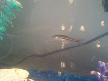 1563f-2012-03-05 17.12.08.jpg