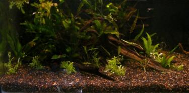 0b532-5ft 23rd Oct 2010 left side.jpg