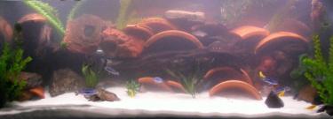 917bf-4ft 2 Oct 2010 c.jpg